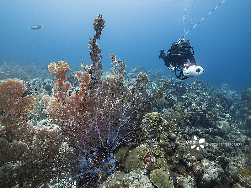 男子在海中潜水图片素材