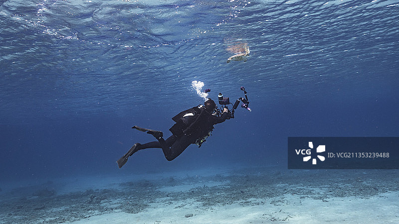 人们在海中水肺潜水图片素材