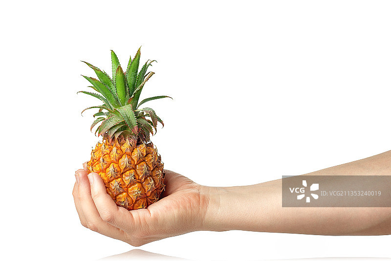 裁剪过的手拿菠萝，白色背景图片素材