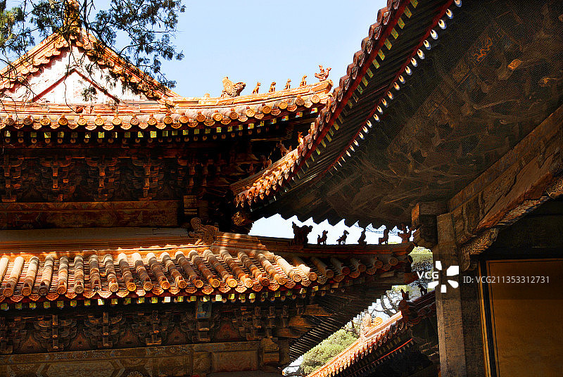 山东，曲阜，孔庙及孔府图片素材