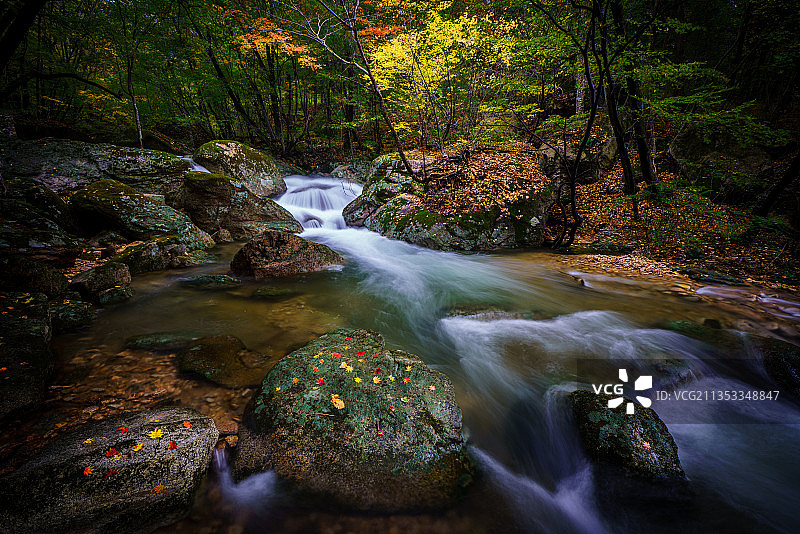 一场秋雨后的天桥沟，小溪成了主角图片素材