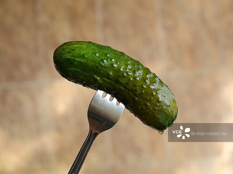 俄罗斯叉子上的黄瓜特写图片素材