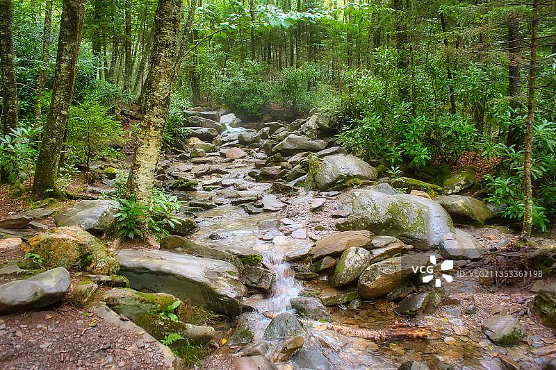 美国大烟山国家公园森林溪流景观图片素材