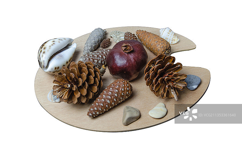 松果特写，白色背景图片素材