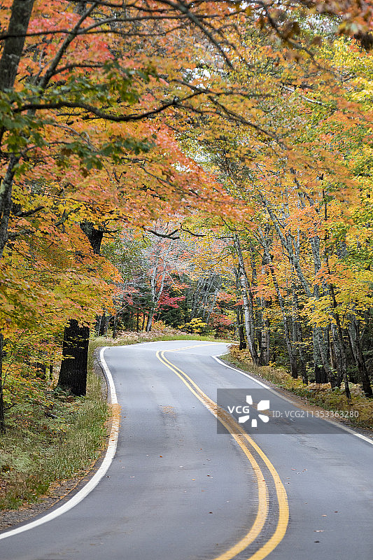 美国密歇根州铜港，秋季森林中树木掩映下的空旷道路图片素材