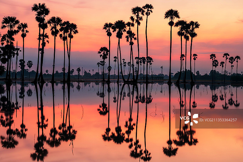 泰国巴吞他尼府日落时分的湖边棕榈树剪影图片素材