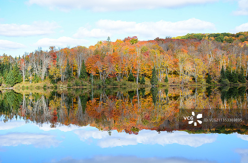 加拿 Arrowhead 省立公园秋季湖畔树木风光图片素材