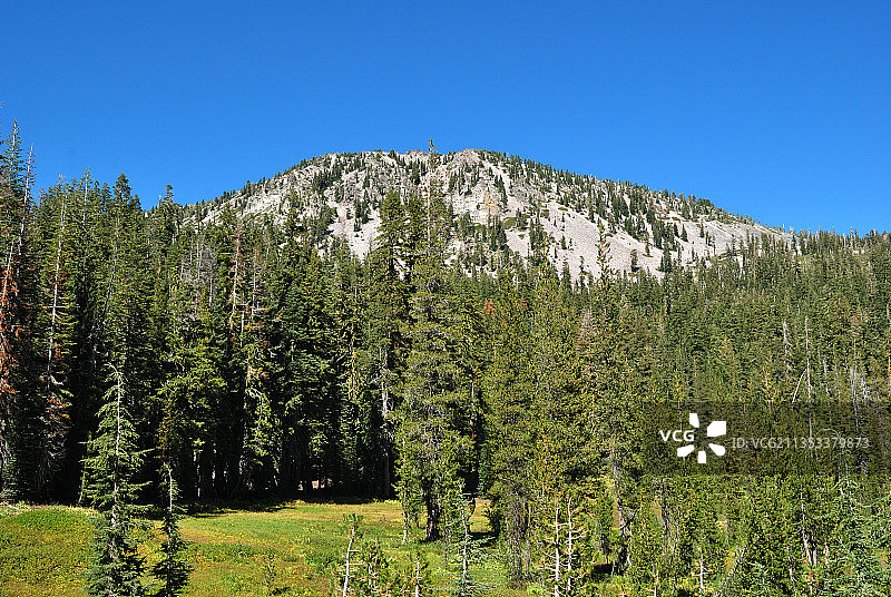 加利福尼亚州沙斯塔县的森林景观图片素材