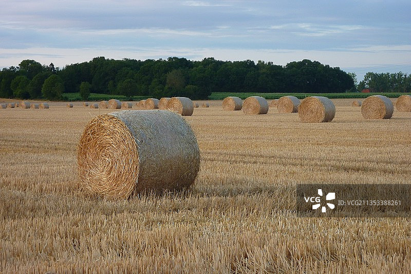 天空映衬下的田野风景图片素材