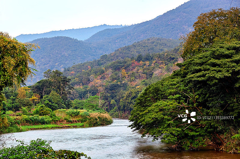泰国曼谷森林中树木掩映的河流风光图片素材