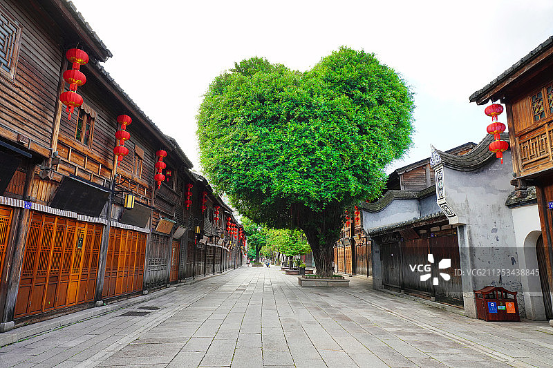 福州新地标，三坊七巷，爱心形状榕树图片素材