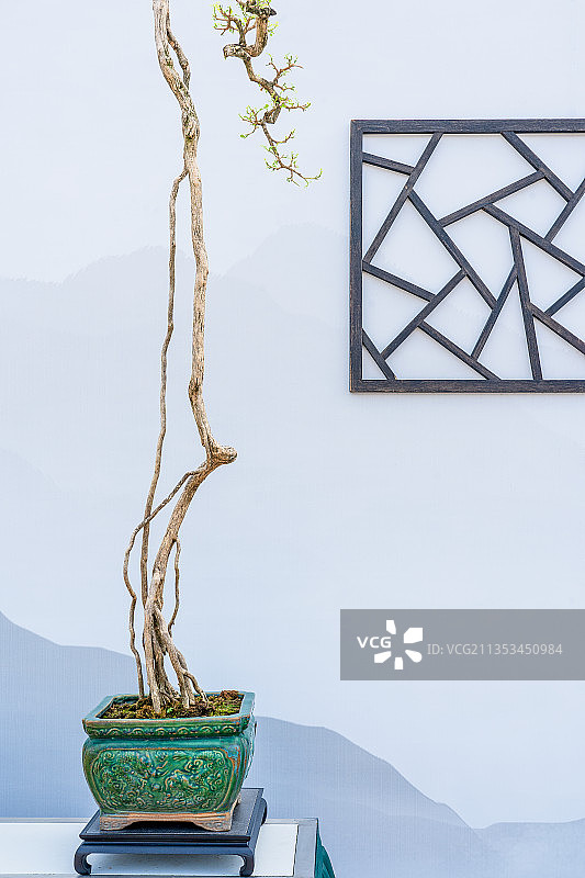 《秋意》盆景微景观图片素材