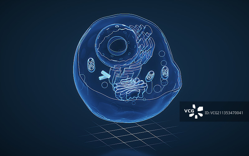 蓝色线条细胞结构 3D渲染图片素材