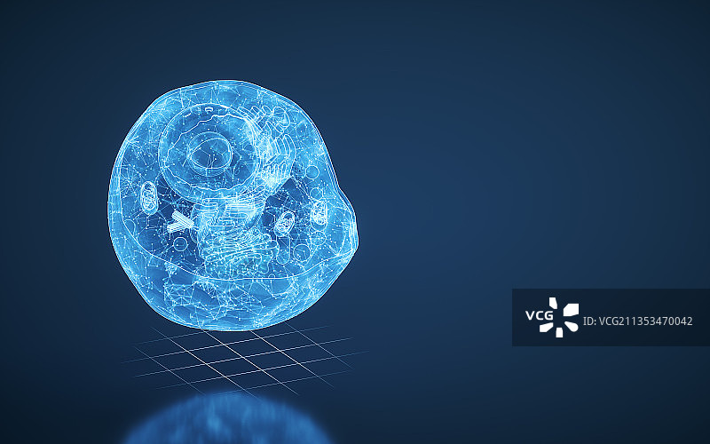 蓝色线条细胞结构 3D渲染图片素材