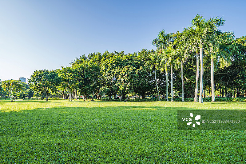 海口市万绿园图片素材