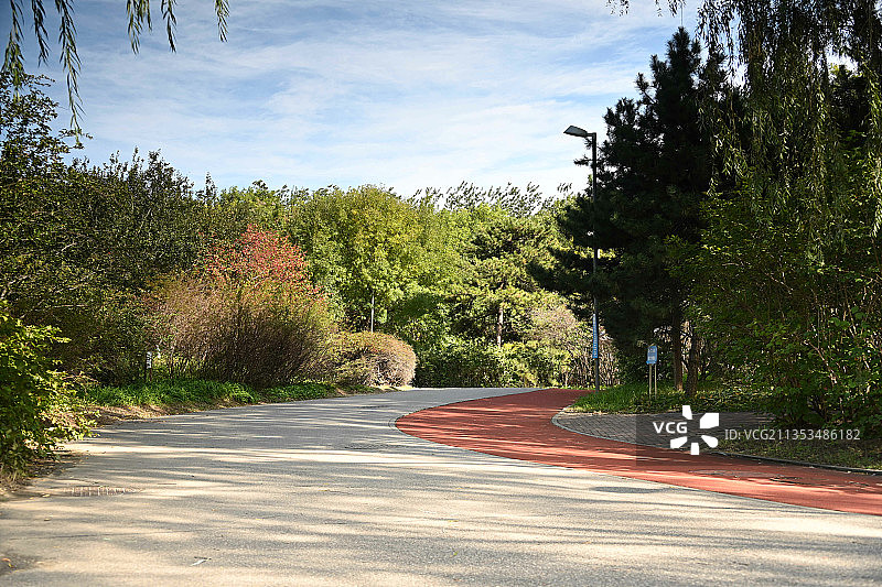 北京奥林匹克森林公园道路绿色树木天然氧吧图片素材