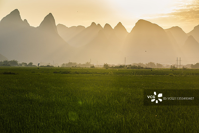 广西柳城县水稻田图片素材