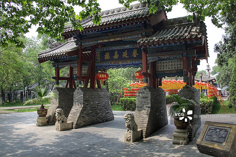 山西洪洞大槐树图片素材