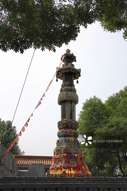 山西洪洞大槐树图片素材