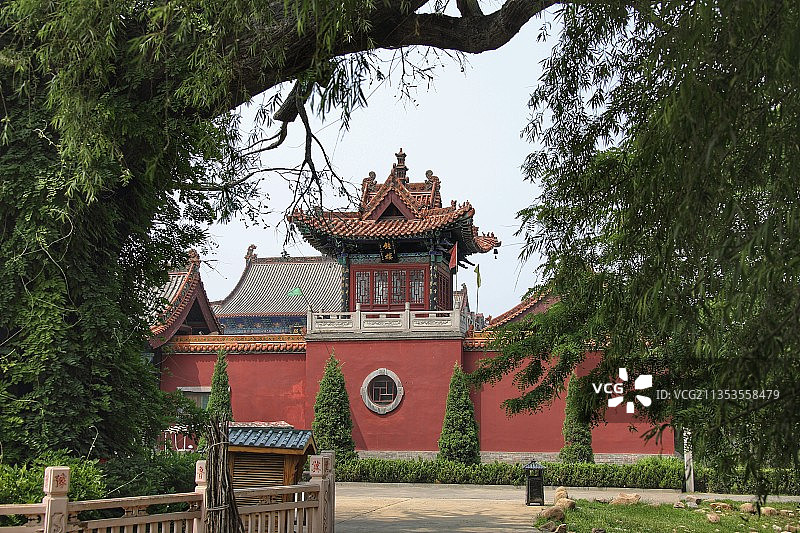 山西洪洞大槐树图片素材