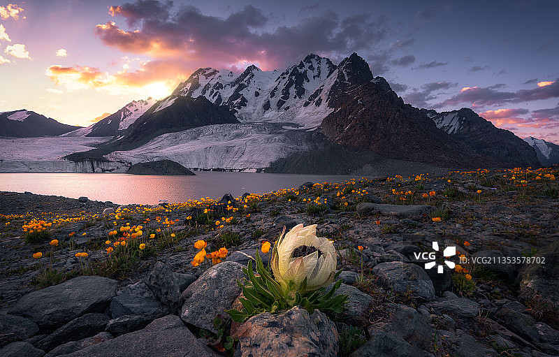 神的后花园图片素材