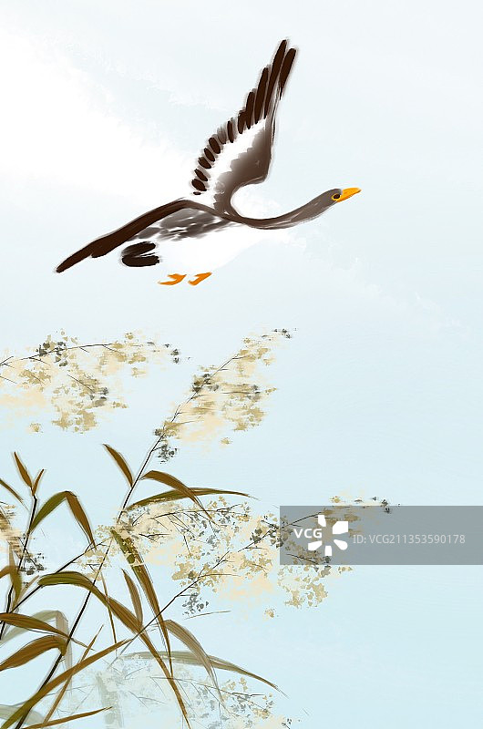 寒冷冬季大雁冬天空中飞鸟的低角度视图图片素材