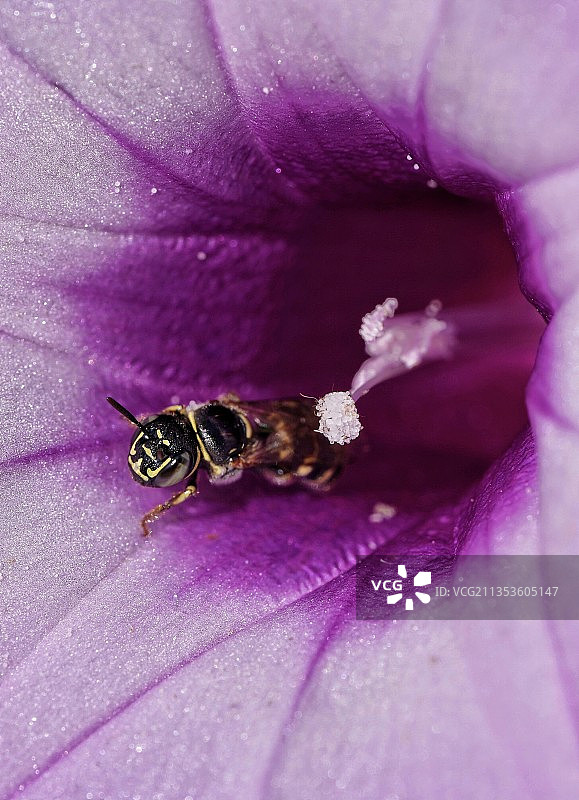 《偷心》图片素材