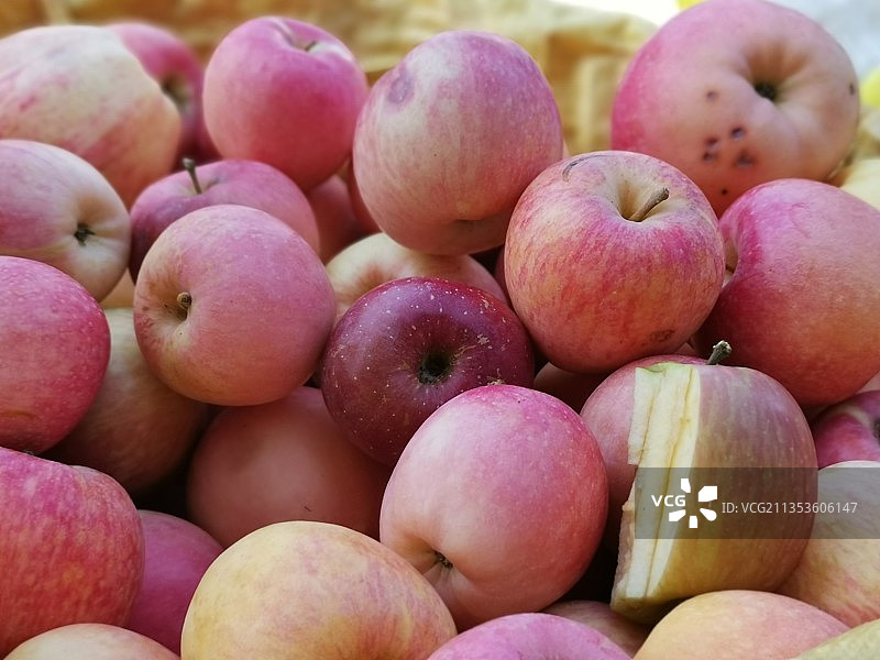 四川九襄苹果熟了图片素材