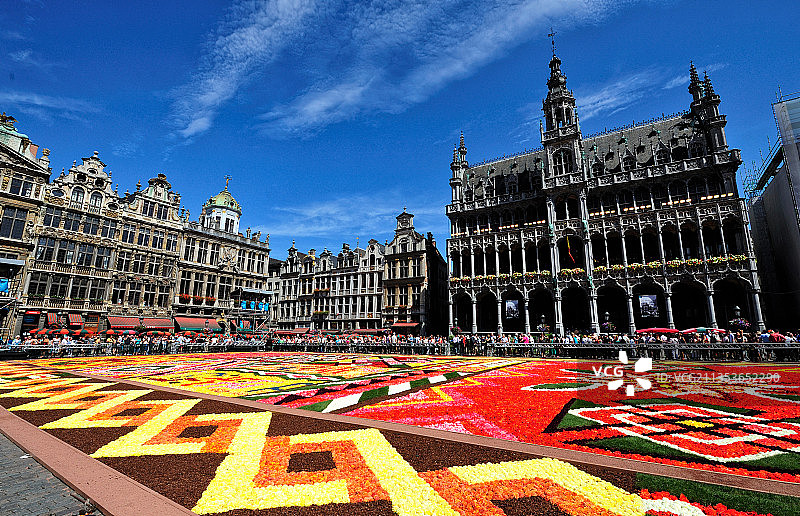比利时布鲁塞尔花卉广场图片素材