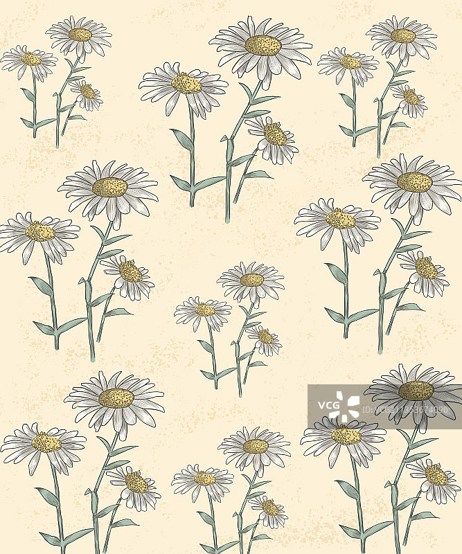 包装图案插画图片素材