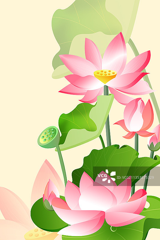 简约国风植物荷花图片素材