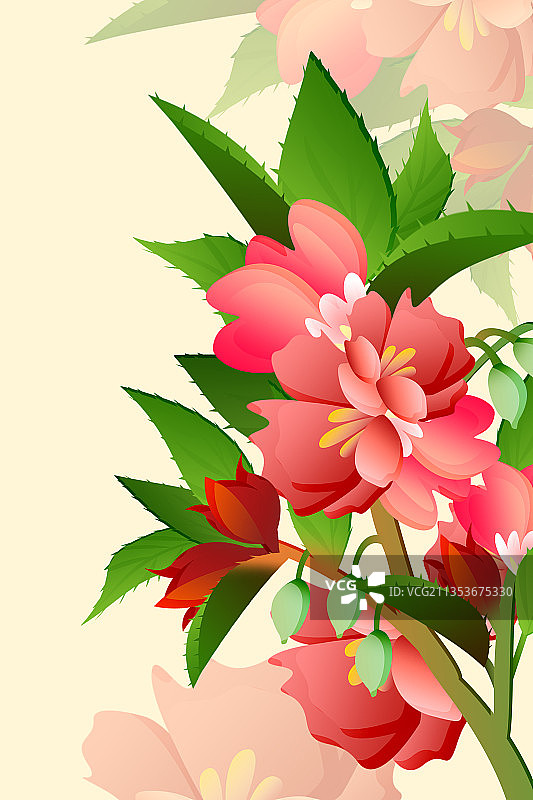 简约国风植物凤仙花图片素材