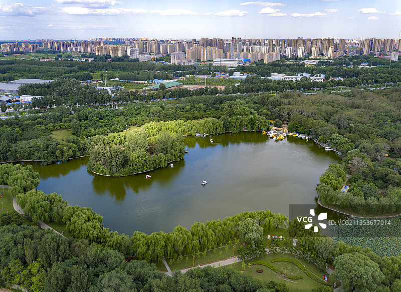 航拍城市楼群公园图片素材
