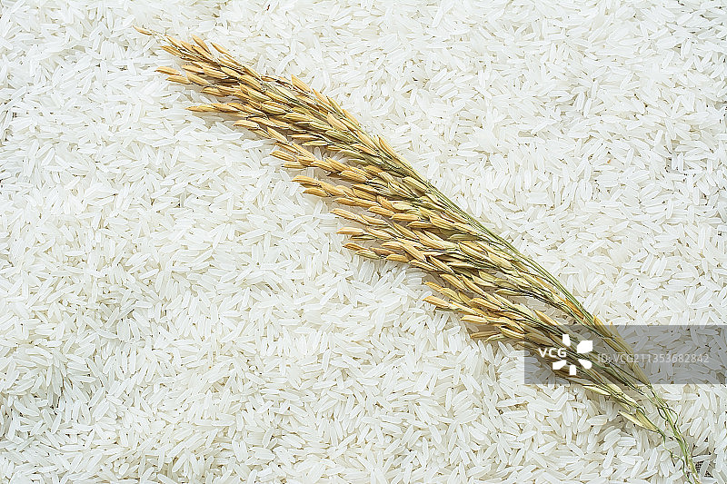 长粒大米和稻谷图片素材