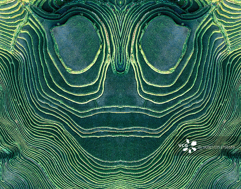 桂林龙胜龙脊梯田镜像图片素材