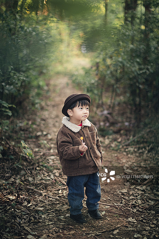 冬天里小男孩头戴帽子手里拿着棒棒糖在小树林里玩图片素材