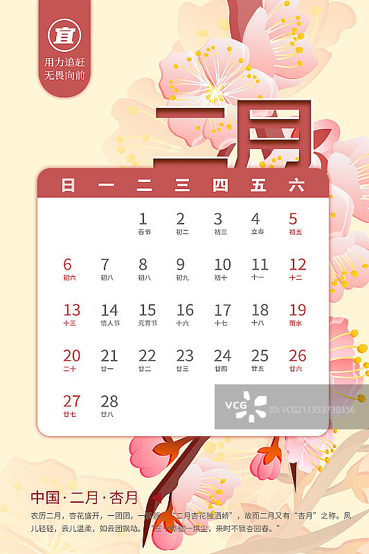 2月杏花竖版台历图片素材