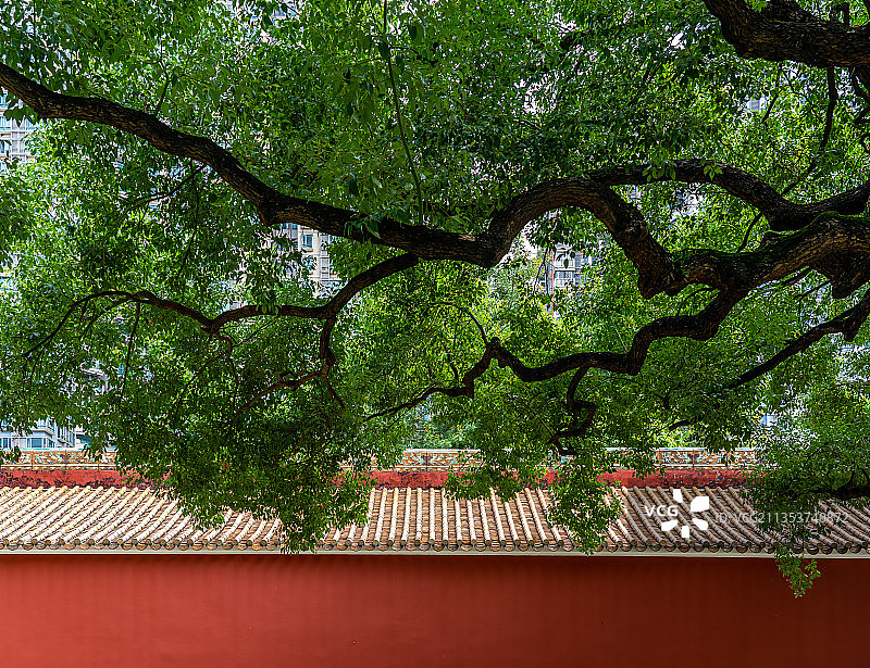 广州农讲所番禺学宫古建筑红墙特写图片素材