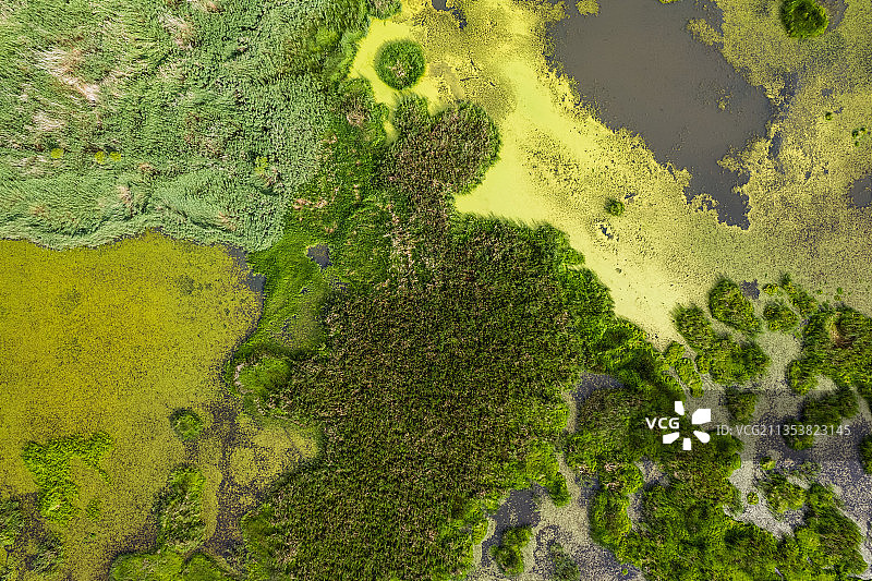 泸沽湖草海图片素材