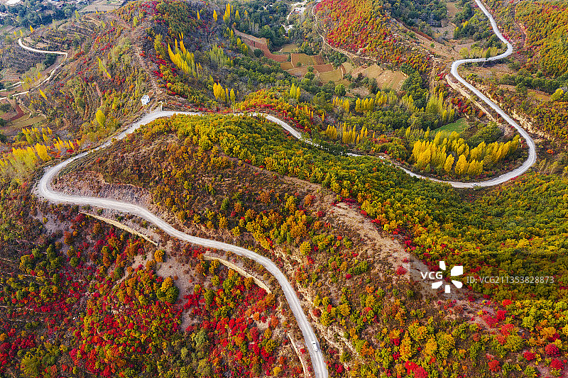 河南嵩山红叶图片素材