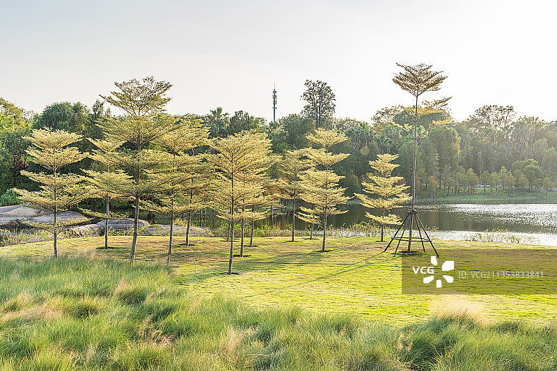 厦门市园林植物园西山园风光图片素材