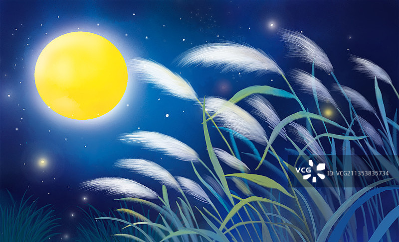 月光下的芦苇图片素材