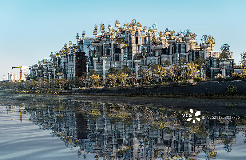 上海千安天树图片素材