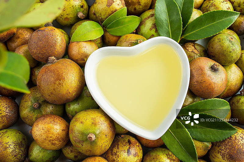 油茶果和茶油图片素材