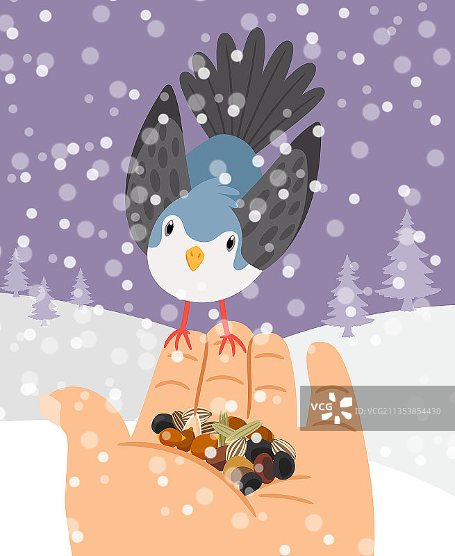 手喂鸟食的冬季鸟类图片素材