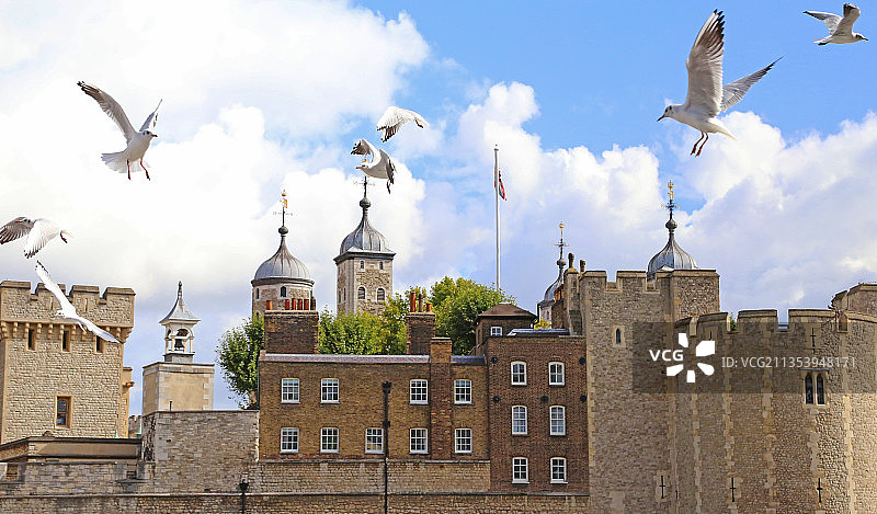 伦敦塔与海鸥图片素材