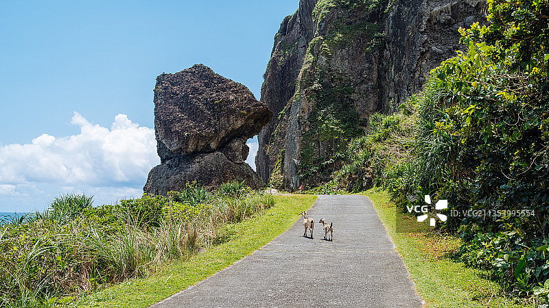 中国台湾兰屿乡的树木道路景观图片素材