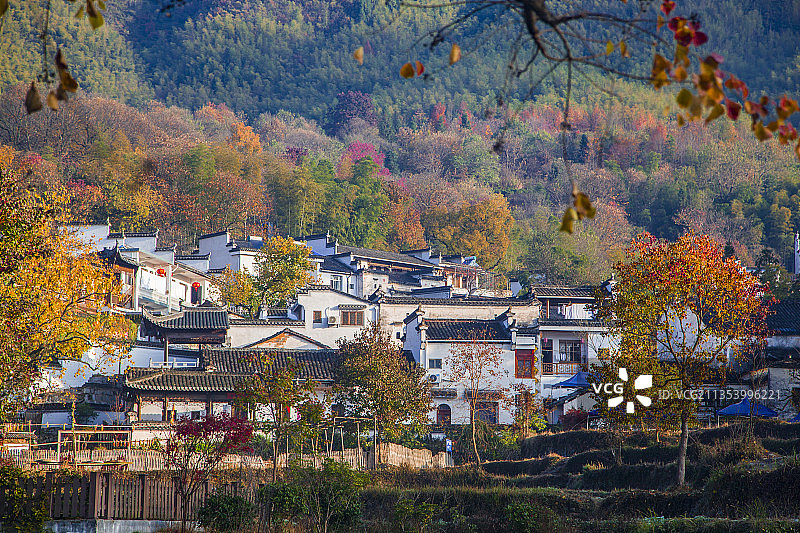 安徽省黄山市塔川秋色图片素材
