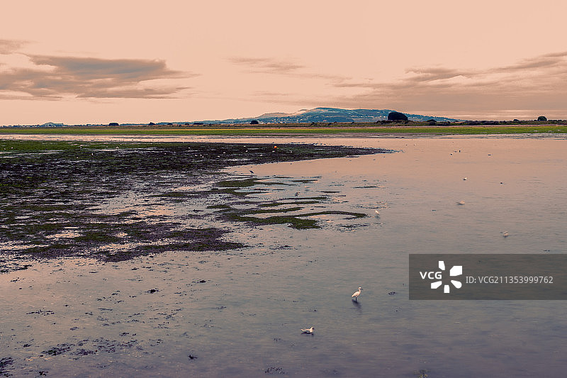 都柏林七月风景图片素材