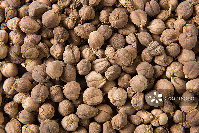 中药材白蔻特写图片素材